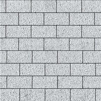  Тротуарный камень Steinrus Прямоугольник Лайн 200х100х60 мм Эльтон BackWash: внешний вид